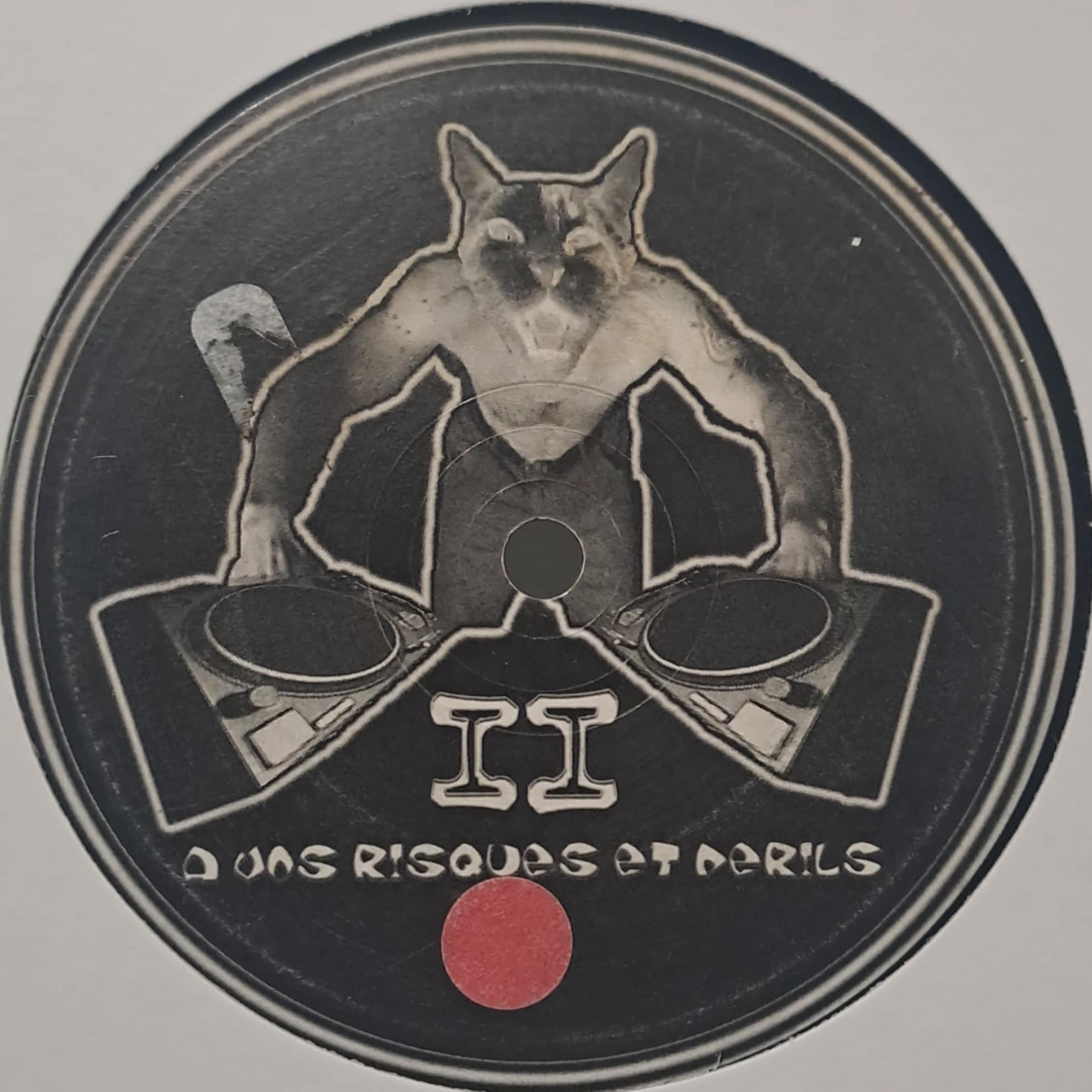 A Vos Risques Et Perils 02 - vinyle freetekno