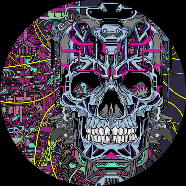 Acid Pirate 17 - vinyle acid