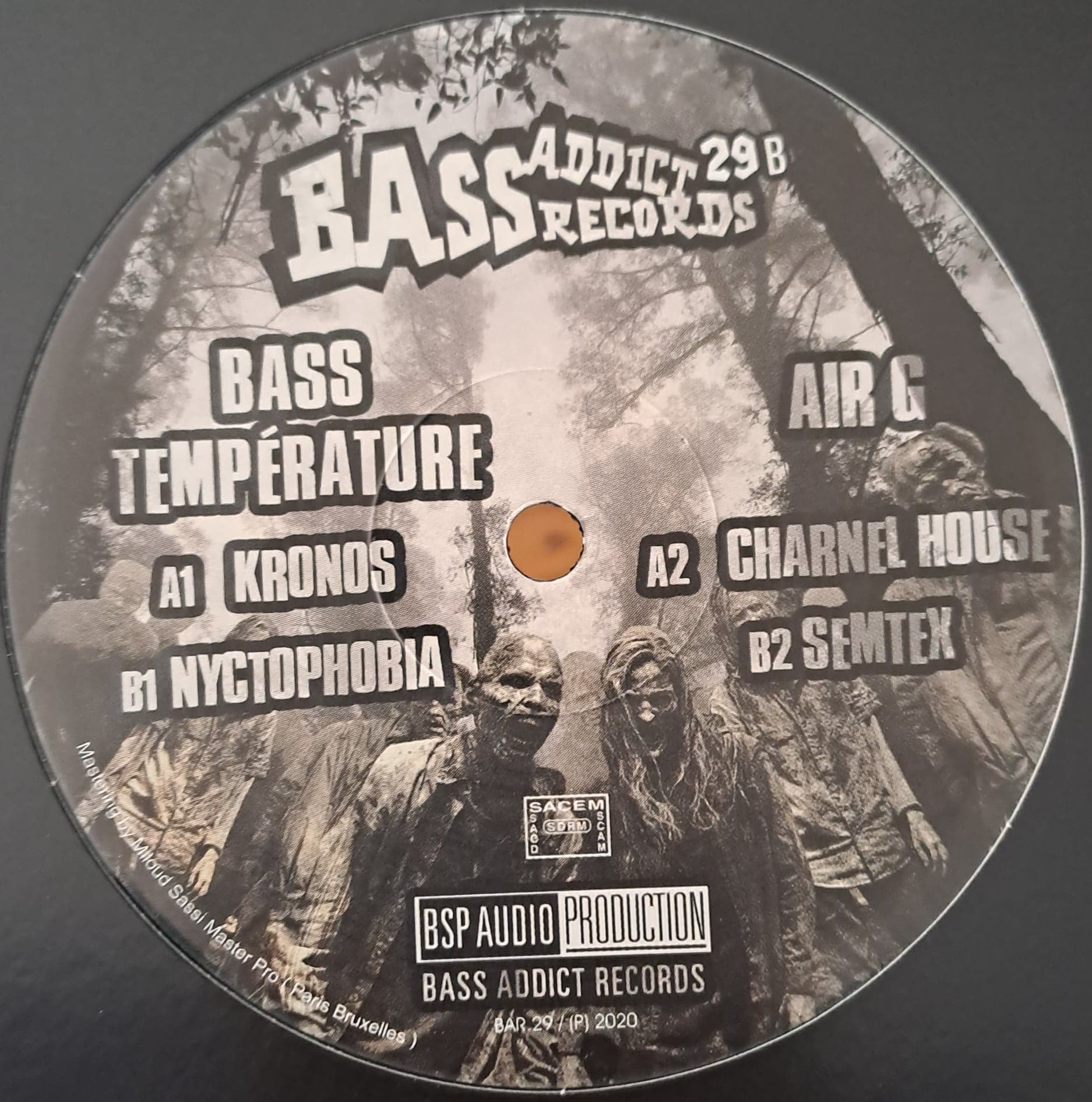 Bass Addict 29 - vinyle acidcore