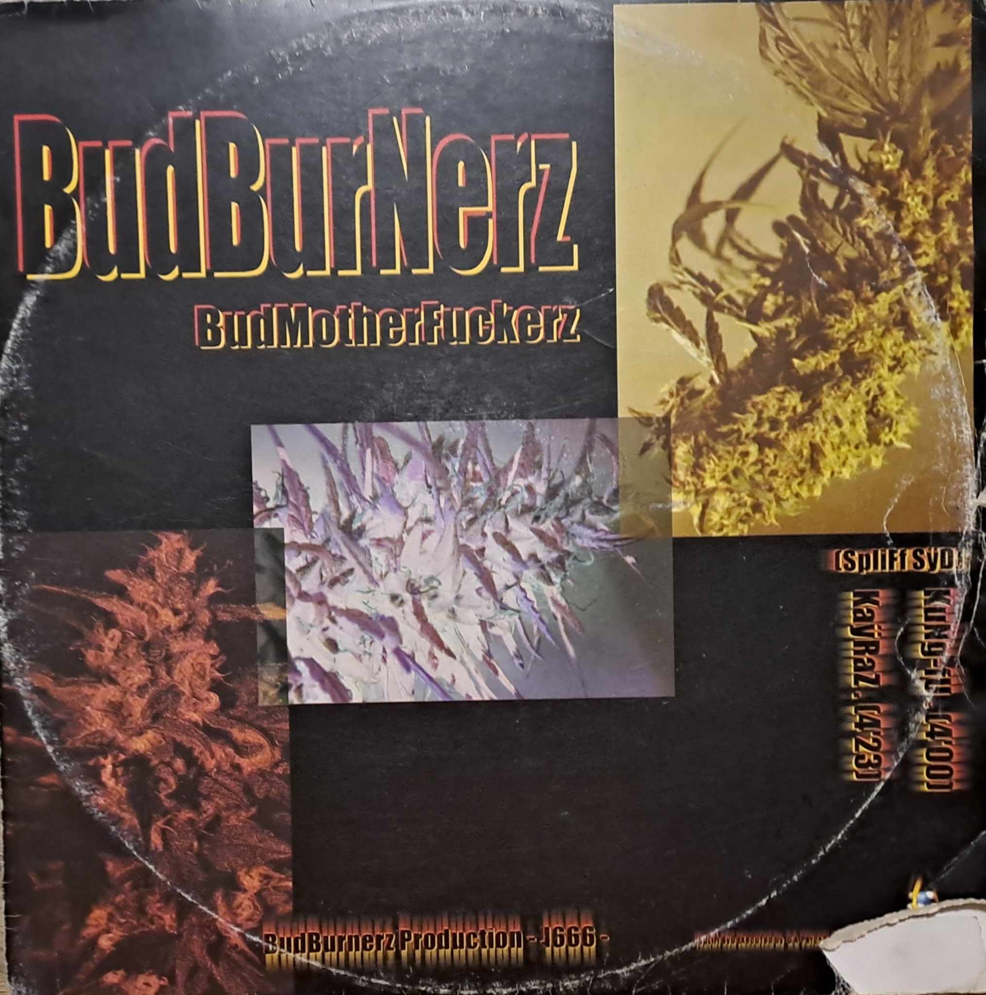 DBP 01 - vinyle hardcore