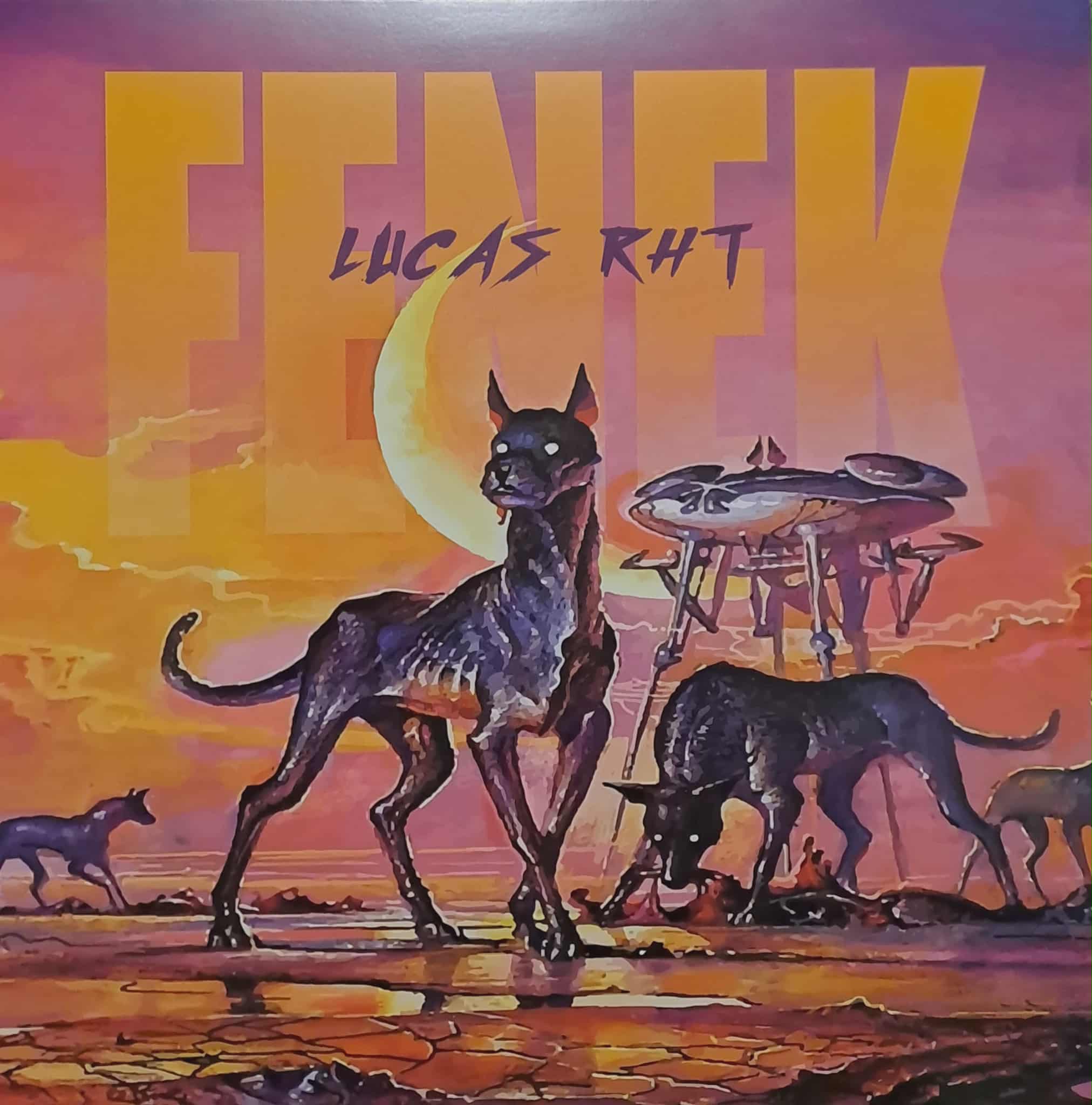 Fenek X - vinyle gabber