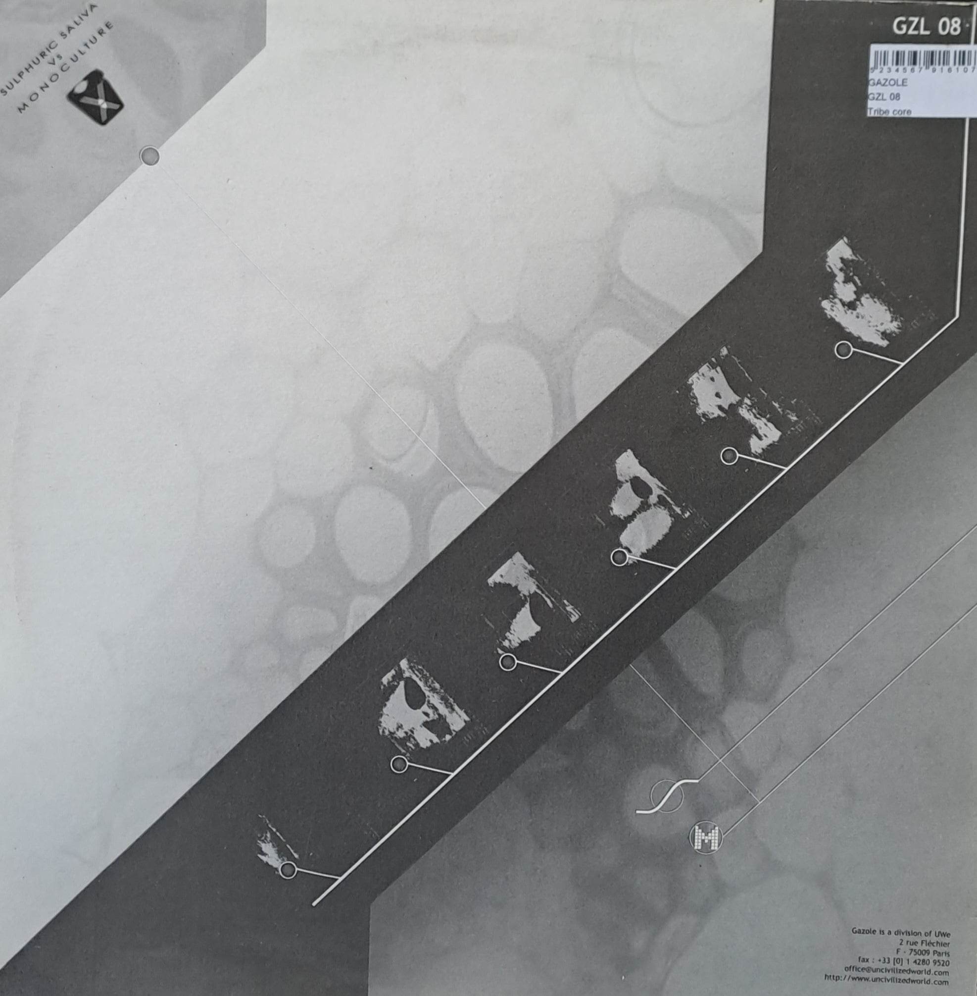 Gazole 08 - vinyle hardcore