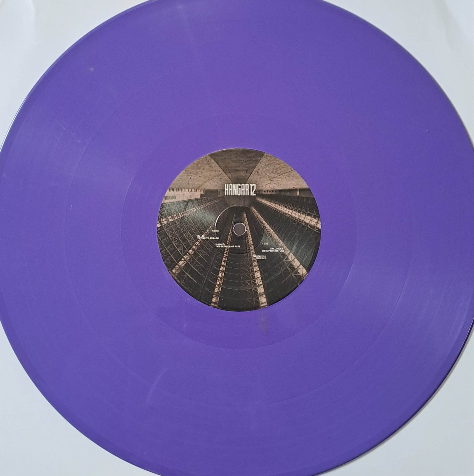 Hangar 12 (violet) (toute dernière copie en stock) - vinyle acidcore