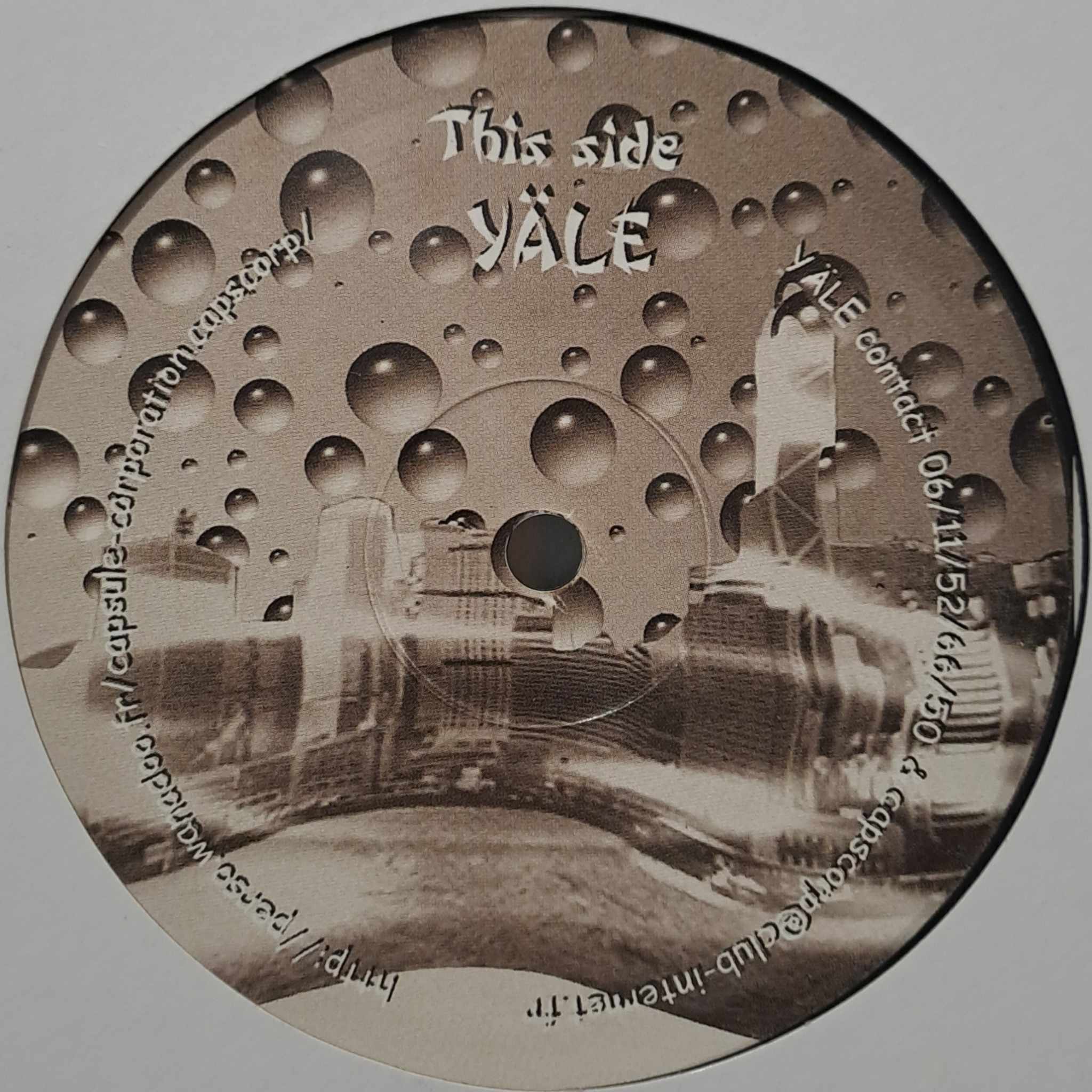 LSDF VS Capsule Corp - vinyle freetekno