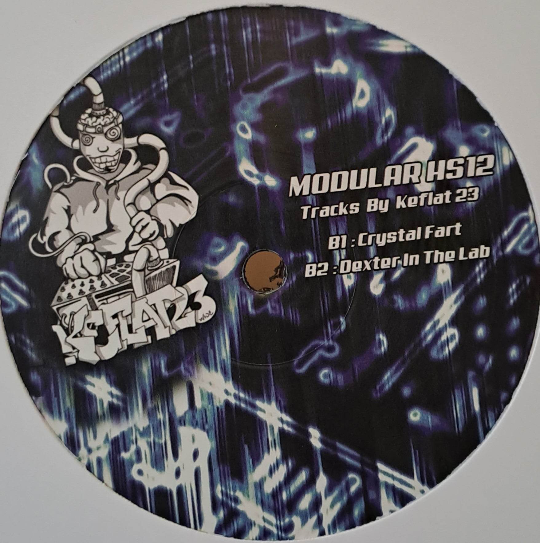 Modular HS 12 - vinyle freetekno