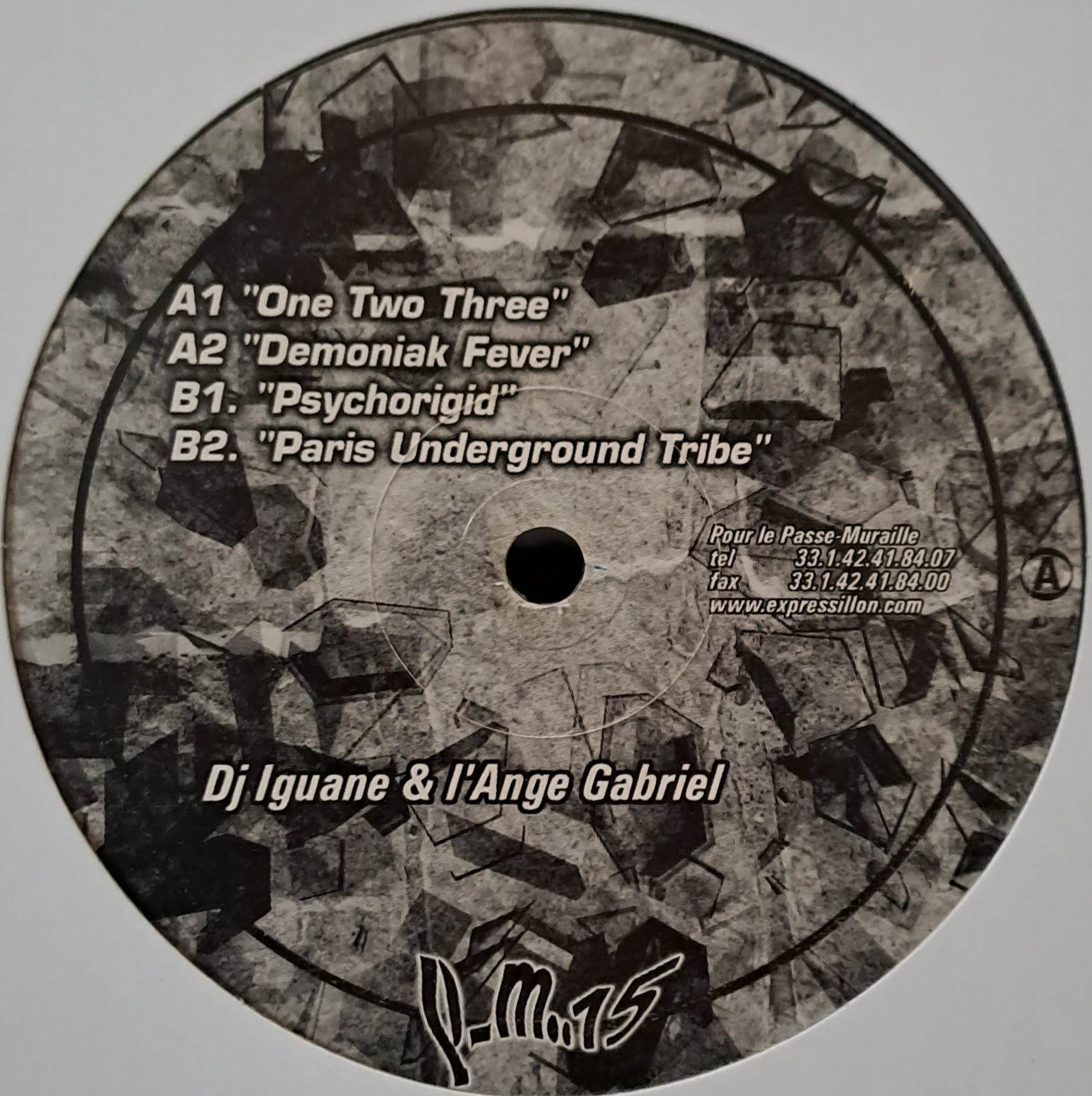 Passe-Muraille 15 - vinyle freetekno