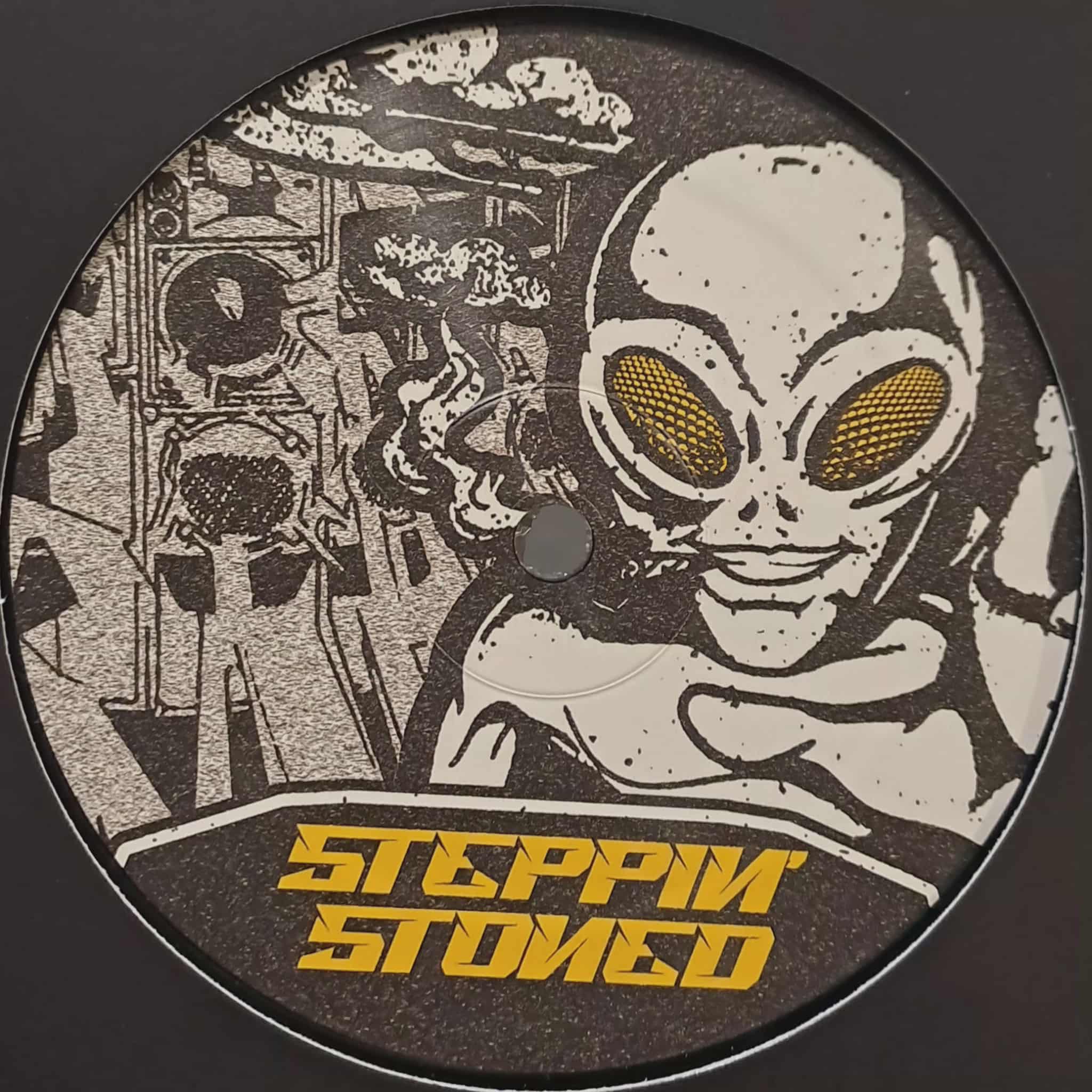 Steppin' Stoned 02 - vinyle freetekno