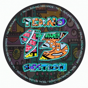 Tekno Section 13 (dernières copies en stock) - vinyle freetekno