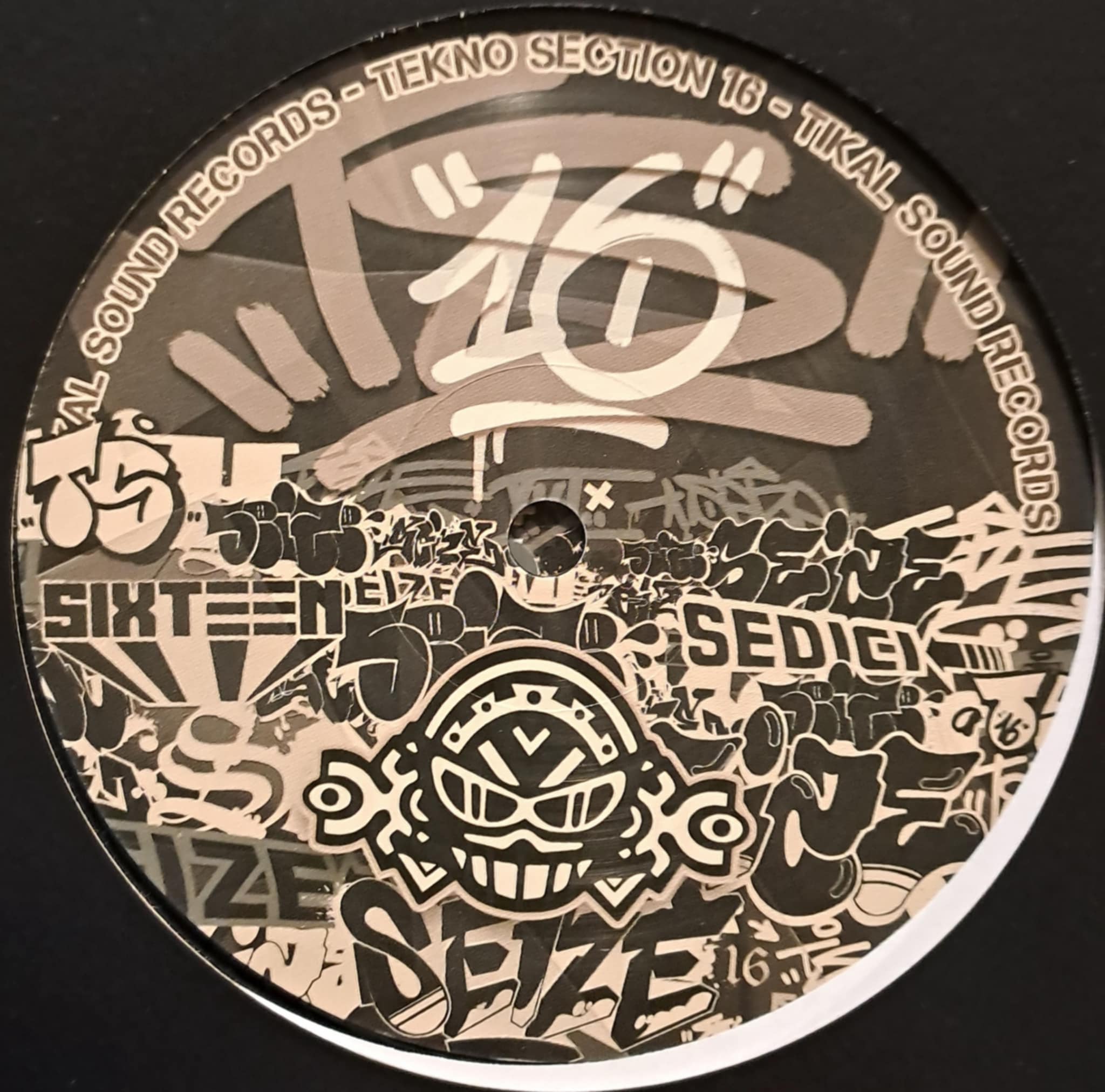 Tekno Section 16 LP - vinyle electro