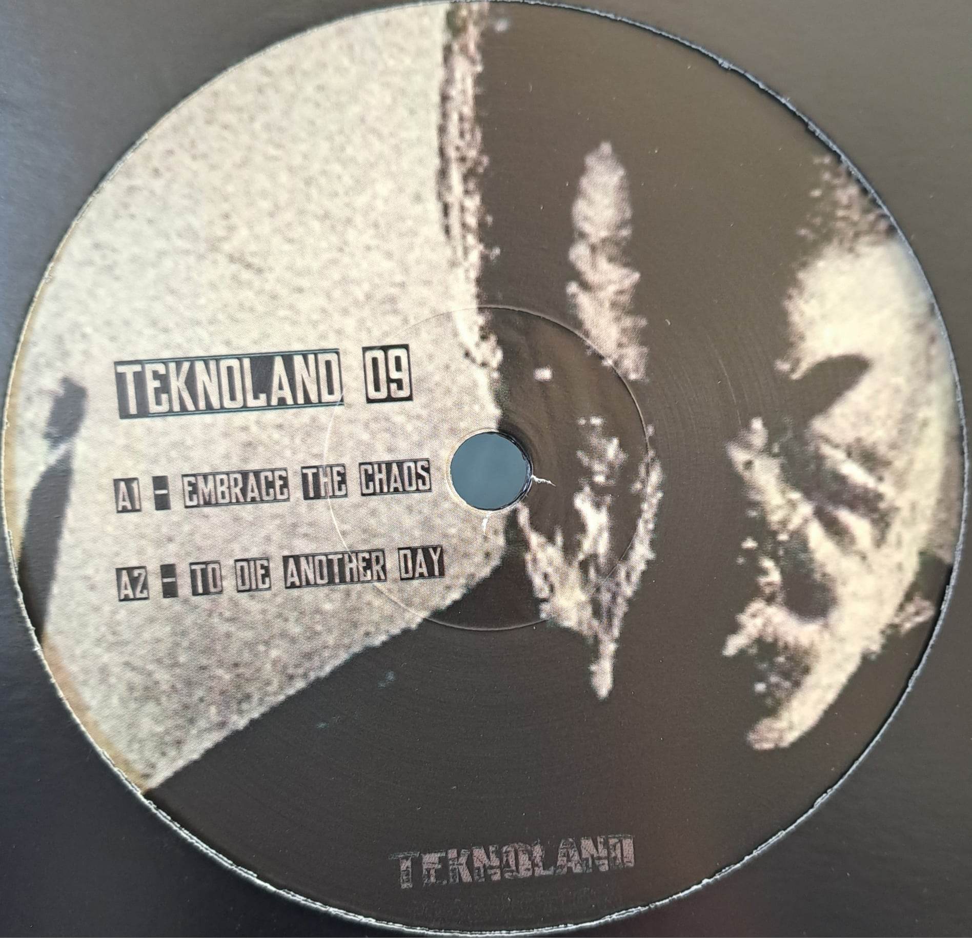 Teknoland 09 (dernières copies en stock) - vinyle hardcore