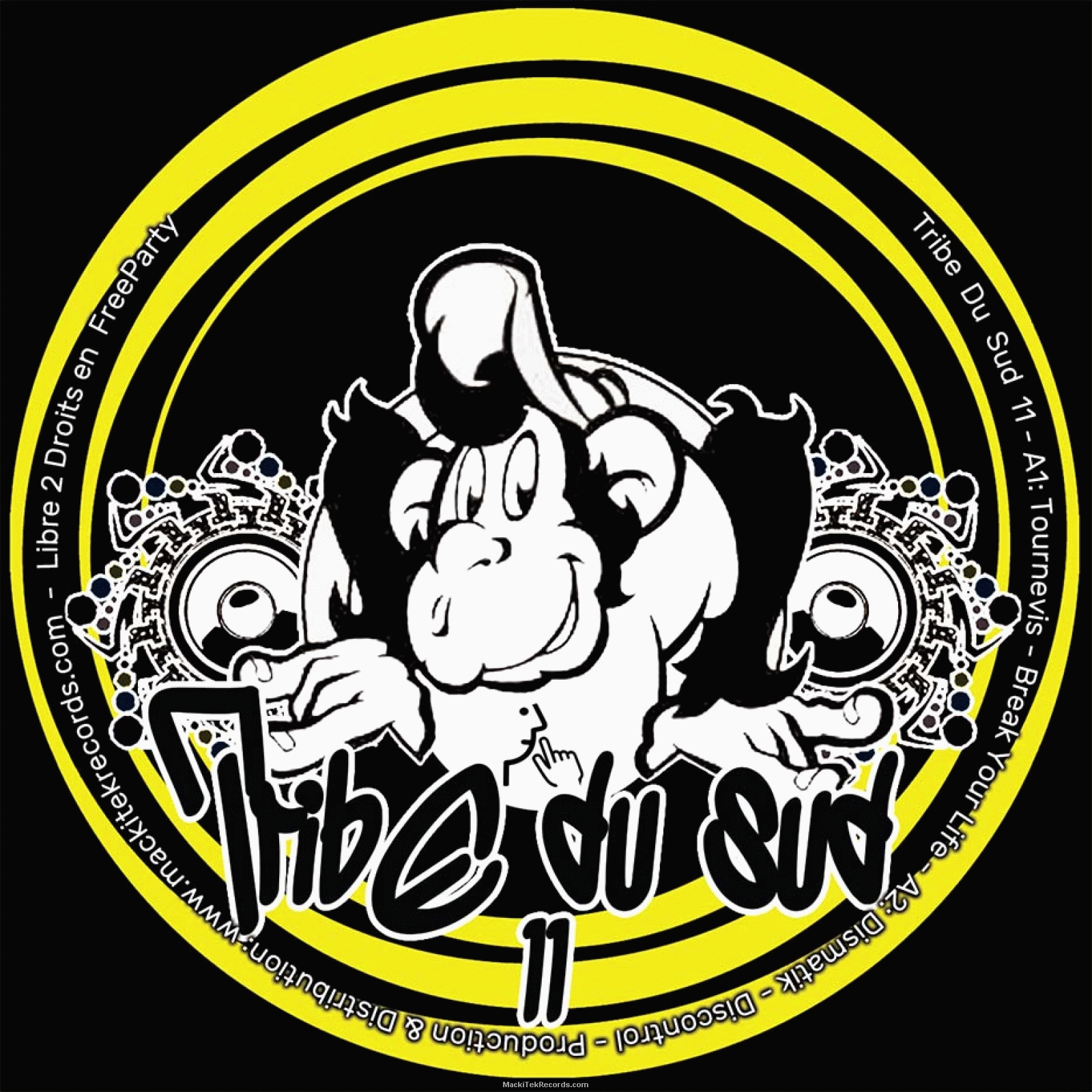 Tribe Du Sud 11 - vinyle tribe